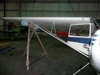 wing 1.jpg