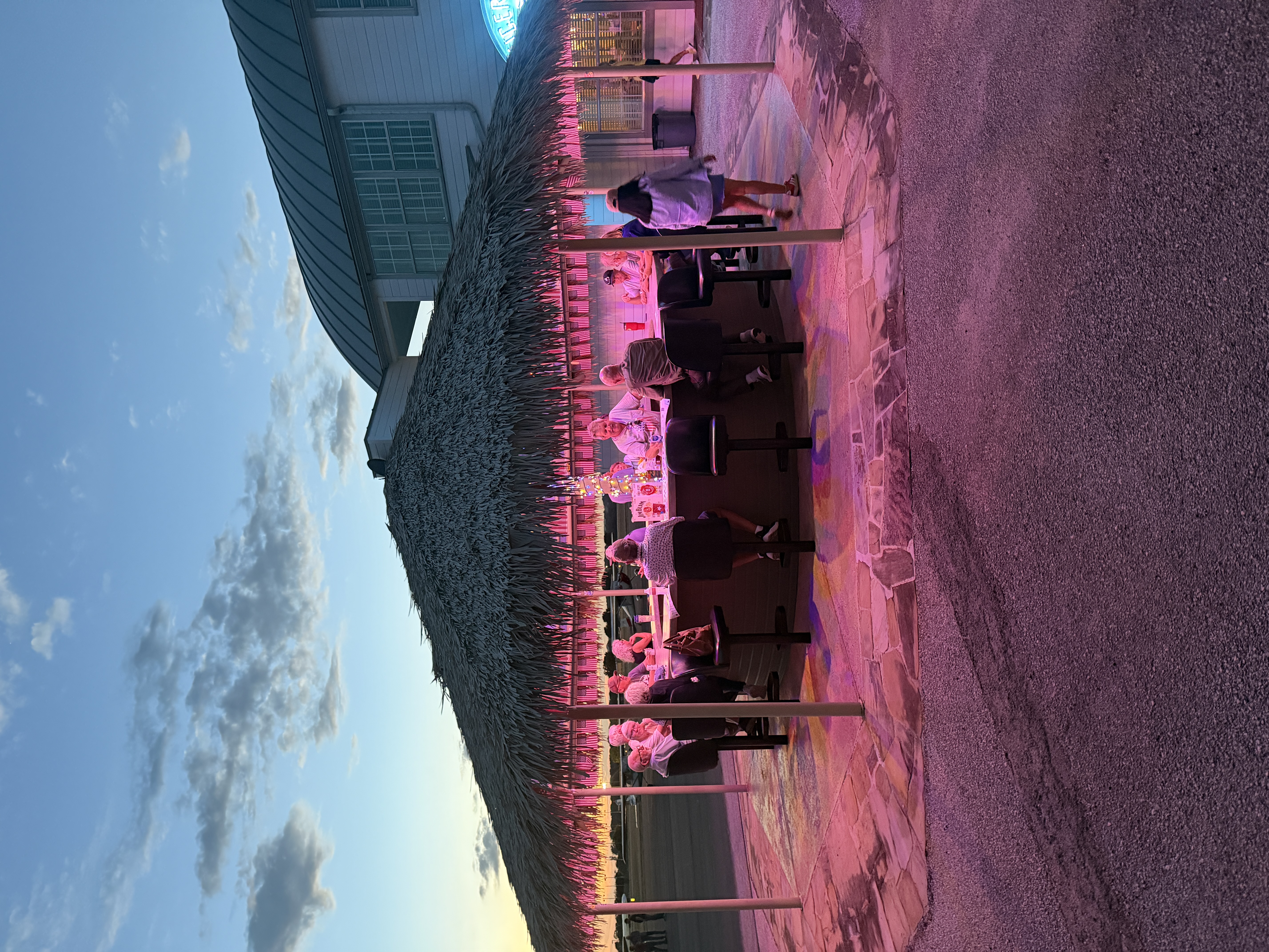 The Tiki Bar