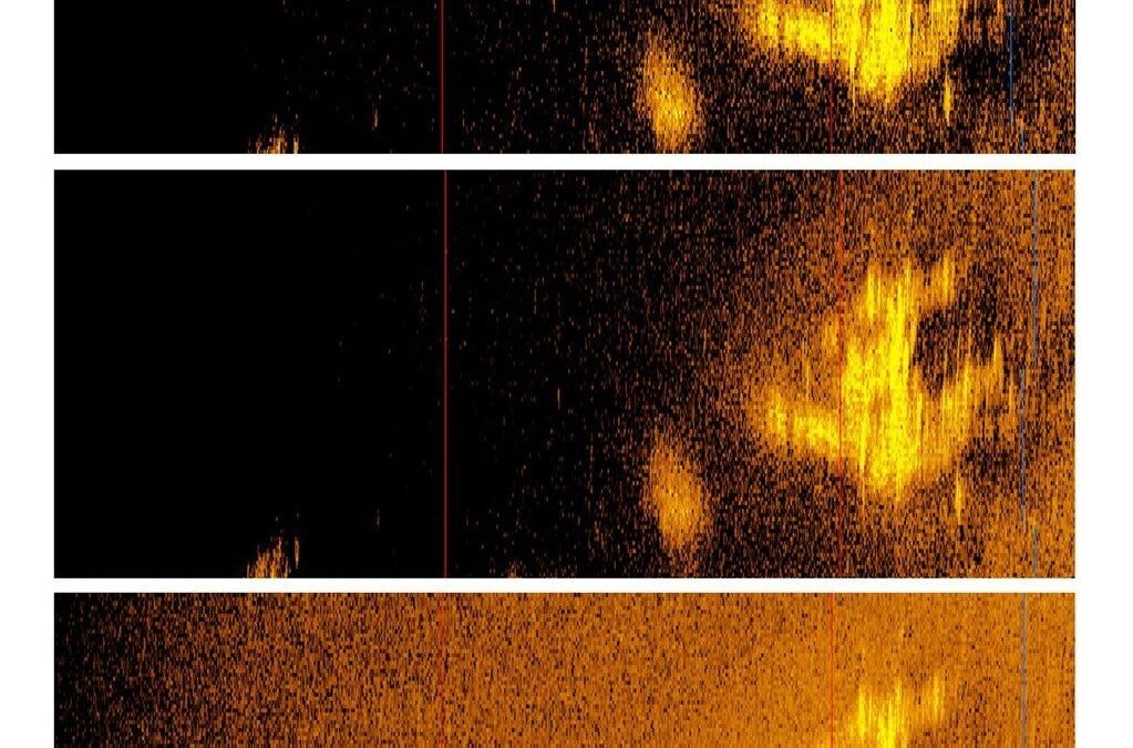 ​Sonar Image Once Thought Proof of Missing Earhart Plane Is Actually a Rock Formation