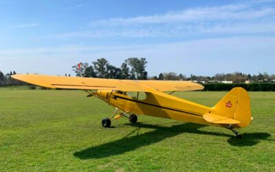 ​This 1947 Piper PA-11 Cub Special Is a Perfectly Simple ‘AircraftForSale’ Top Pick